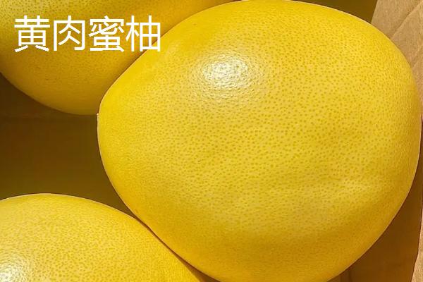 蜜柚采收后的管理办法，首先要选择合适的库房