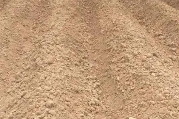 白菜播种两天后下大雨能否出苗,大雨持续时间较长时难以出苗