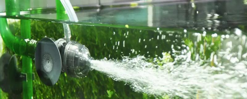 怎么给鱼制造氧气