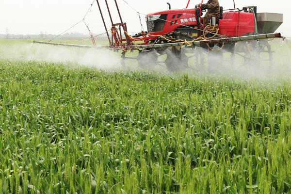 小麦抽穗期能浇水吗,要根据实际情况决定