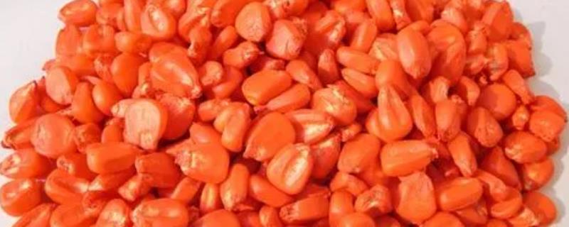 什么是种子包衣剂