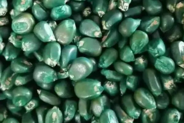 什么是种子包衣剂,在种子外面包上一层含水药剂和促进生长物质