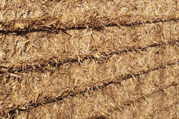 秸秆是什么农作物,是成熟农作物茎叶部分的总称