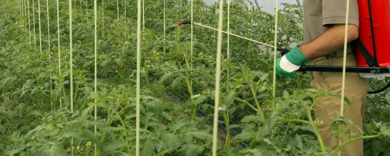 有哪些常见的生物农药