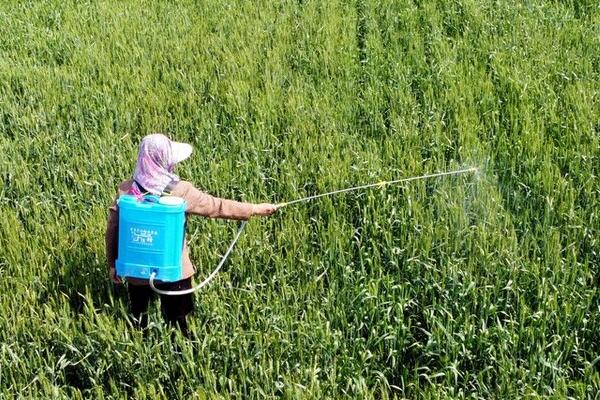 有哪些常见的生物农药,包括多抗霉素、BT杀虫剂、齐螨素等种类