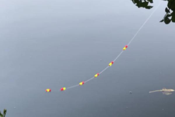 七星漂钓鱼效果怎么样,在水中十分醒目且比较适用