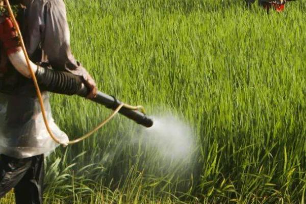 腈菌唑的作用,有一定刺激生长作用