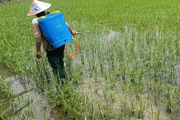 腈菌唑的作用,有一定刺激生长作用