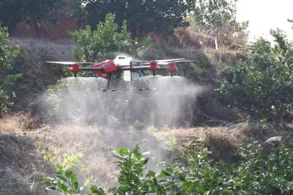 怎么防治果树僵苗现象，可等到泥土解冻后再定植