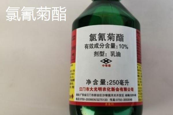 氯氰菊酯和高效氯氰菊酯的区别，高效氯氰菊酯杀虫效力更强