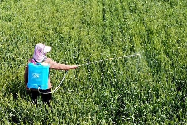 氯氰菊酯和高效氯氰菊酯的区别，高效氯氰菊酯杀虫效力更强