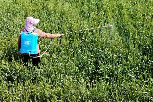 草甘膦农药中毒的表现，常有恶心、呕吐、过敏等症状