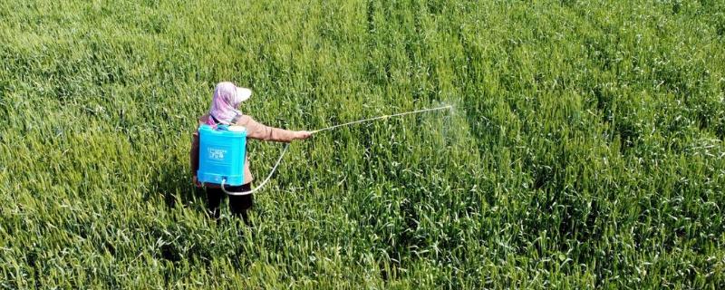 高氯吡虫啉的使用注意事项