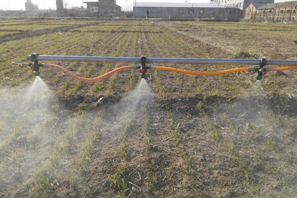 高氯吡虫啉的使用注意事项，不可和碱性农药进行混用