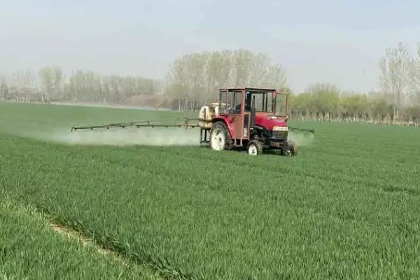 高氯吡虫啉的使用注意事项，不可和碱性农药进行混用