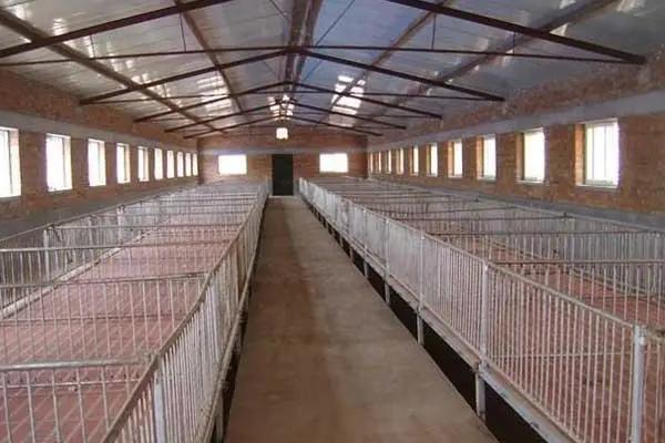 猪舍长和宽多少米好，4-6米宽、8-20米长较好