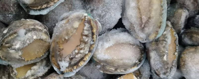 鲍鱼冷藏能保鲜多少天