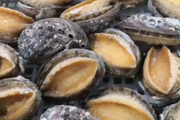 鲍鱼冷藏能保鲜多少天，冷藏的保鲜时间通常为1-2天