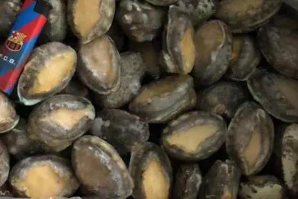 鲍鱼冷藏能保鲜多少天，冷藏的保鲜时间通常为1-2天