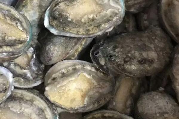 鲍鱼冷藏能保鲜多少天，冷藏的保鲜时间通常为1-2天