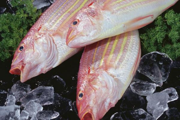 红三鱼是海鱼还是淡水鱼，是生活在海洋之中的海鱼