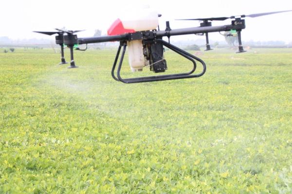 双氟磺草胺小麦拔节后能用吗，在小麦拔节后不宜使用