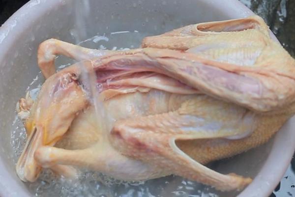 怎么快速去除鹅毛，要顺着鹅毛的纹路拔出