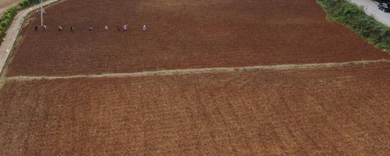 土壤的三大特性