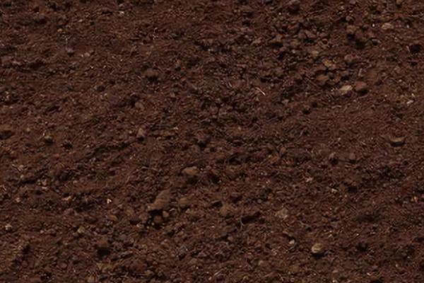 土壤的三大特性，散体性、多相性和自然变异性