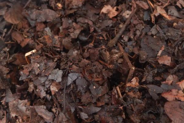 土壤的三大特性，散体性、多相性和自然变异性