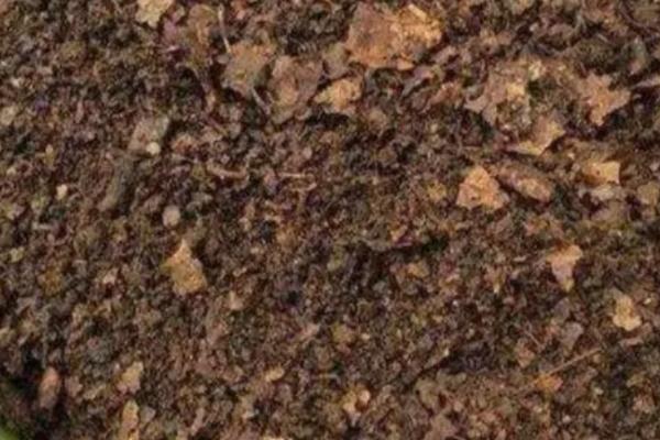 土壤的三大特性，散体性、多相性和自然变异性