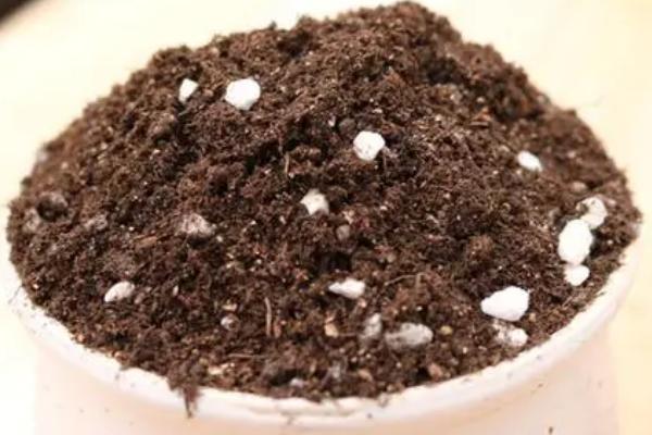 土壤的三大特性，散体性、多相性和自然变异性