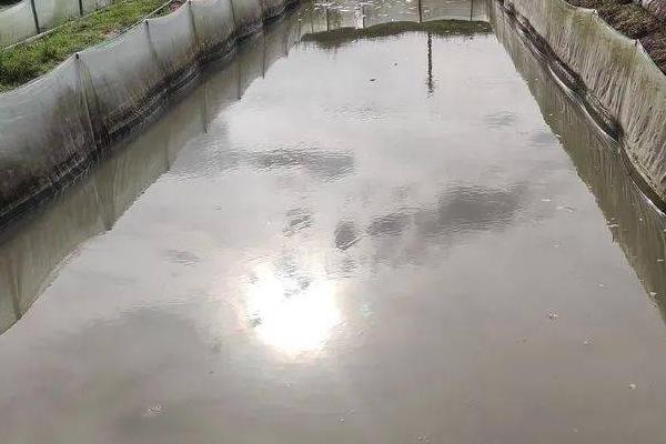 黑斑蛙的养殖技术，选在水源充足且水质较好的地方建池