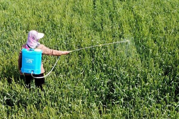 根结线虫逐年加重原因，可能是土壤类型不适或施用了未腐熟的有机肥等