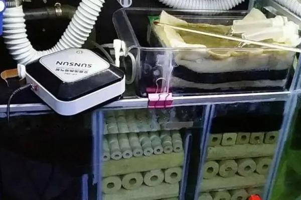 蛋白棉对鱼有什么好处和坏处，可以吸附杂质但会使鱼缸内的PH值降低