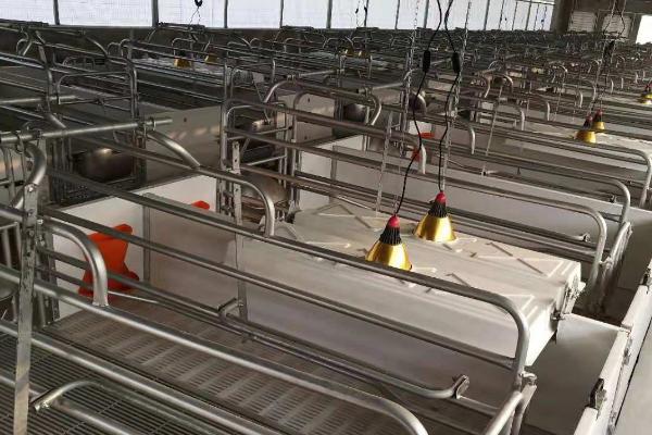 猪产床的尺寸大小，长度为2.1米、宽度为3.6米