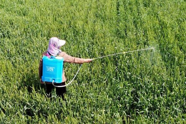 毒死蜱的作用原理，可抑制酶的活性、破坏神经冲动传导