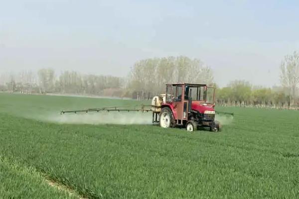 毒死蜱的作用原理，可抑制酶的活性、破坏神经冲动传导