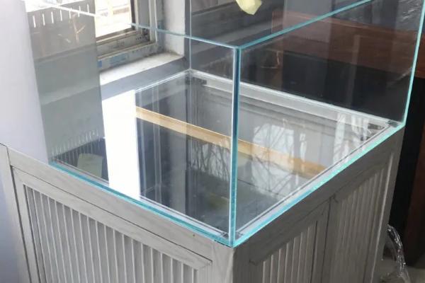 鱼缸底滤好还是上滤好，各有优势