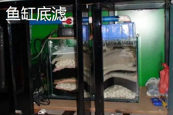 鱼缸底滤好还是上滤好，各有优势