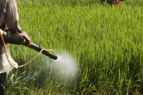 综合治理有害生物的方法，使用杀菌剂、除草剂、杀虫剂可以起到防效