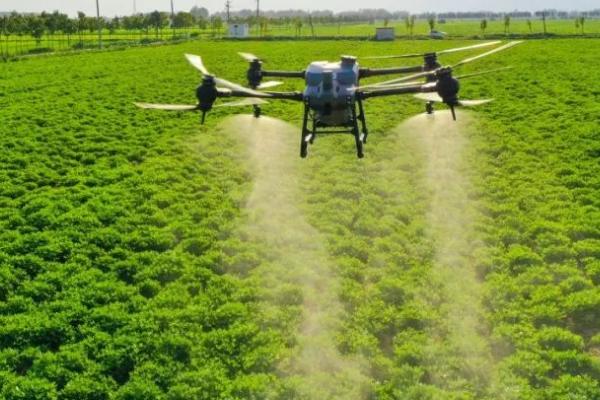 综合治理有害生物的方法，使用杀菌剂、除草剂、杀虫剂可以起到防效