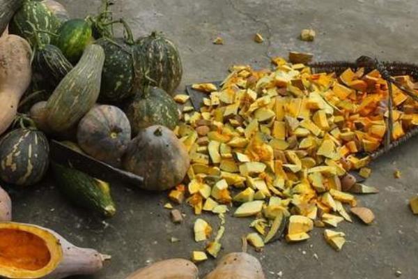 南瓜可以喂猪吗，可生喂也可熟喂