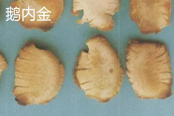 鹅内金和鸡内金有什么区别，鹅内金呈圆片状、鸡内金呈长椭圆形