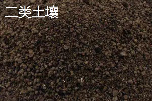 一二三类土壤有什么区别，一类松软、二类居中、三类坚固
