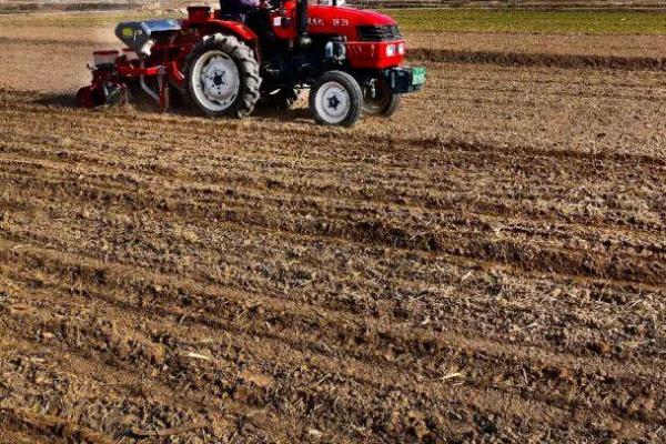 春耕备耕存在的问题，存在面积不足、劳动力缺乏等