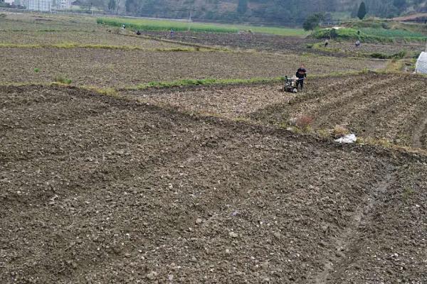 春耕备耕存在的问题，存在面积不足、劳动力缺乏等