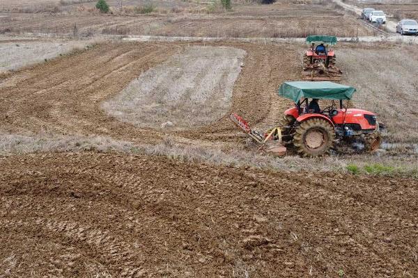 春耕备耕存在的问题，存在面积不足、劳动力缺乏等