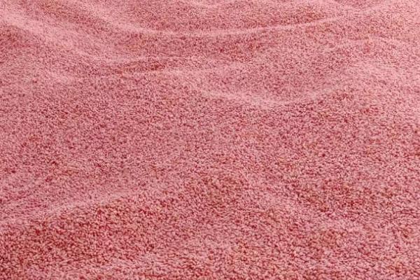 小麦种子播种前应该怎么处理，要做好种子包衣、药剂拌种