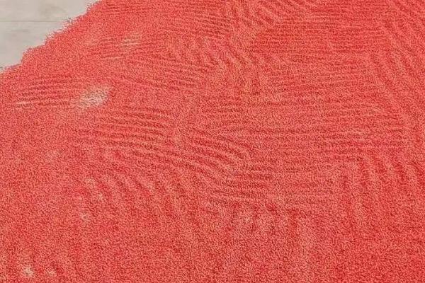 小麦种子播种前应该怎么处理，要做好种子包衣、药剂拌种